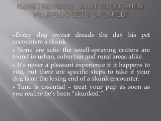 NuVet Reviews : What to Do When Your Dog Gets “Skunked”