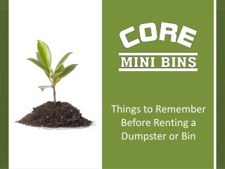 Things to Remember Before Renting a Dumpster or Bin