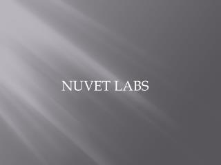 NuVet Labs Reviews : Holiday Plants to Keep Away from Your Pets