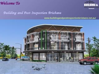 Building Pest Inspection Brisbane