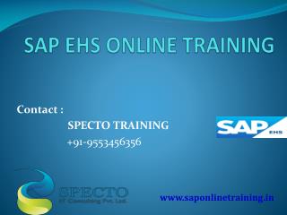 sap ehs training online by real time experts