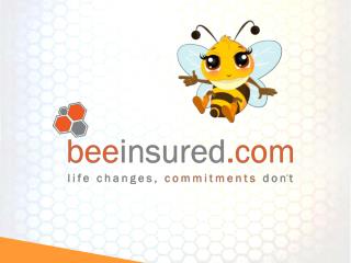 Beeinsured company profile