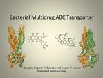 Bacterial Multidrug ABC Transporter