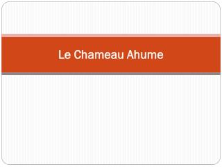 Le Chameau Ahume