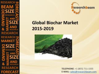 Global Biochar Market Size, Shares, Strategies, and Forecasts 2015-2019