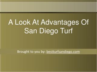 A Look At Advantages Of San Diego Turf