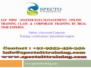 online training classes on sap mdm by real time experts