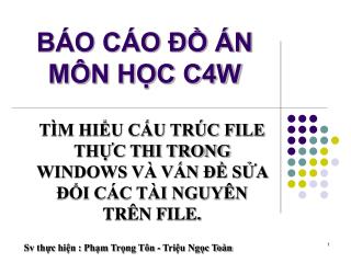 BÁO CÁO ĐỒ ÁN MÔN HỌC C4W