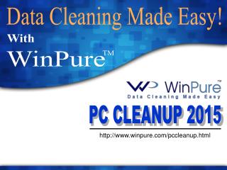 WinPure Computer Clean Up Software | Free Trial