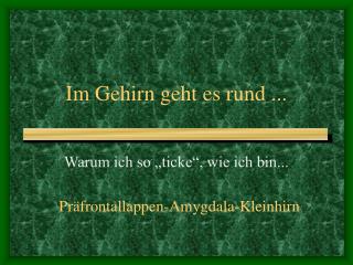 Im Gehirn geht es rund ...