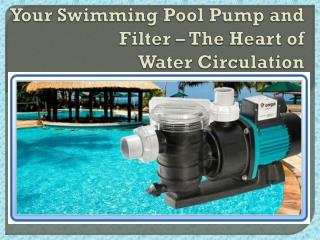 Your Swimming Pool Pump and Filter – The Heart of Water Circulation