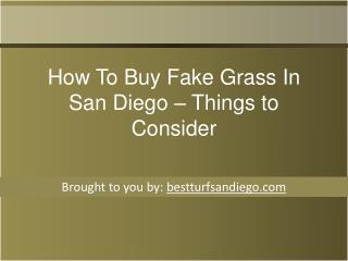 How To Buy Fake Grass In San Diego – Things to Consider