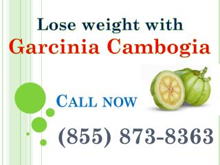 (855) 873-8363 does garcinia cambogia work for weight loss