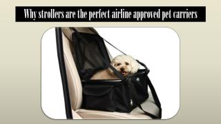 Why strollers are the perfect airline approved pet carriers