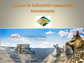 Leaders in Industrial Commodity Investments