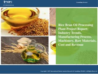 Rice Bran Oil Market: Increasing Demand in Food & Cosmetics Industry