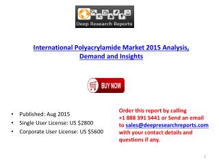 Polyacrylamide Market Research Report on Sales and Revenue Analysis