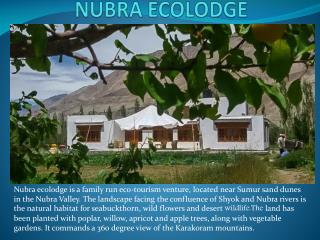 Nubra Ecolodge