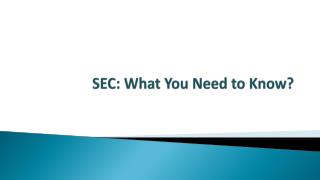 SEC: What You Need to Know?