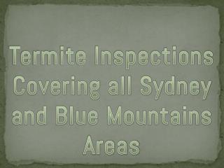 Termite Inspections