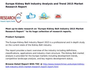 Europe Kidney Belt Industry 2015 Market Research Report