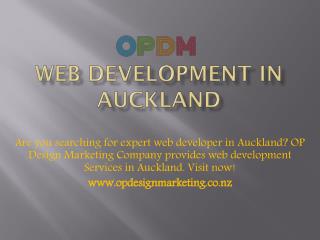 web development Auckland