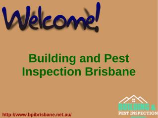 Termite Inspection Brisbane