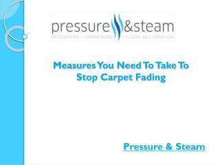 Measures You Need To Take To Stop Carpet Fading