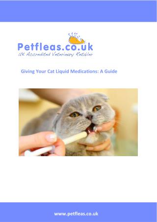 Giving Your Cat Liquid Medications: A Guide