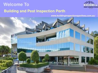 Pest and Building Inspections Perth