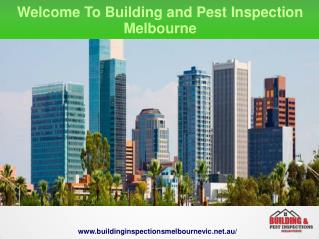 Strata Inspection Report Melbourne