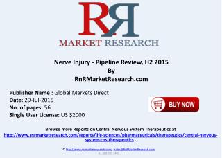 Nerve Injury Pipeline Review and Overview H2 2015