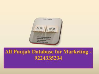 All Punjab Database for Marketing -9224335234