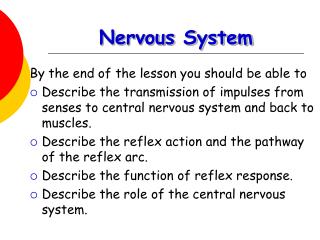 Nervous System