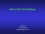 Stem Cells Neurobiology