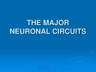THE MAJOR NEURONAL CIRCUITS