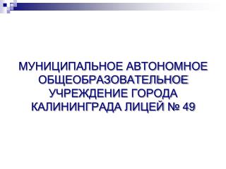 06_2014_МАОУ лицей 49