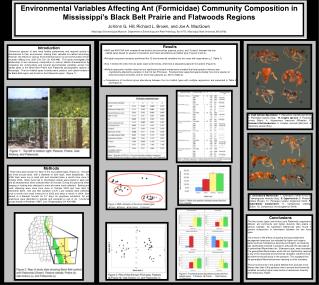 Environmental Variables Affecting Ant (Formicidae) Community Composition in Mississippi’s Black Belt Prairie and Flatwoo