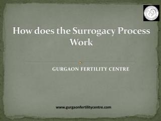 How Does the Surrogacy Process Work