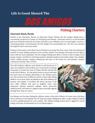 Fishing Charters Clearwater Beach