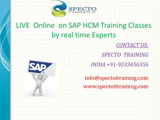 Best online training classes on sap hcm usa payrolls