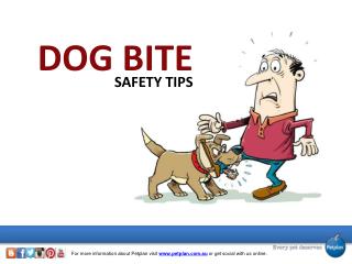 Dog Bite Safety Tips