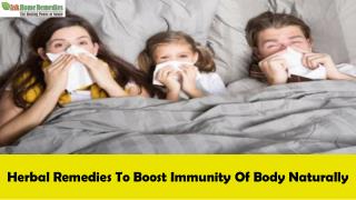 Herbal Remedies To Boost Immunity Of Body Naturally