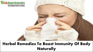 Herbal Supplements To Make Strong Immune System