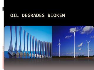 Oil Degrades of Biokem