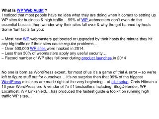 WP Web Audit Review and Bonuses