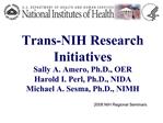 Trans-NIH Research Initiatives Sally A. Amero, Ph.D., OER Harold I. Perl, Ph.D., NIDA Michael A. Sesma, Ph.D., NIMH