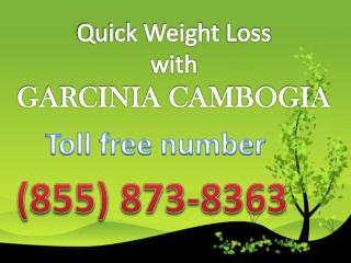 (855) 873-8363 does garcinia cambogia really work