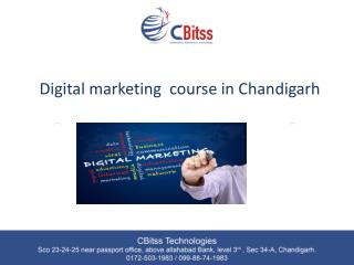 Digital marketing course in chandigarh