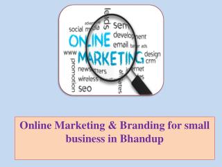 Online Marketing & Branding for small business in Bhandup